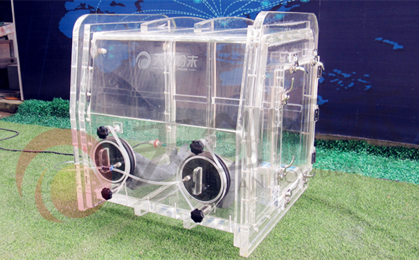 �ЙC(j��)����������